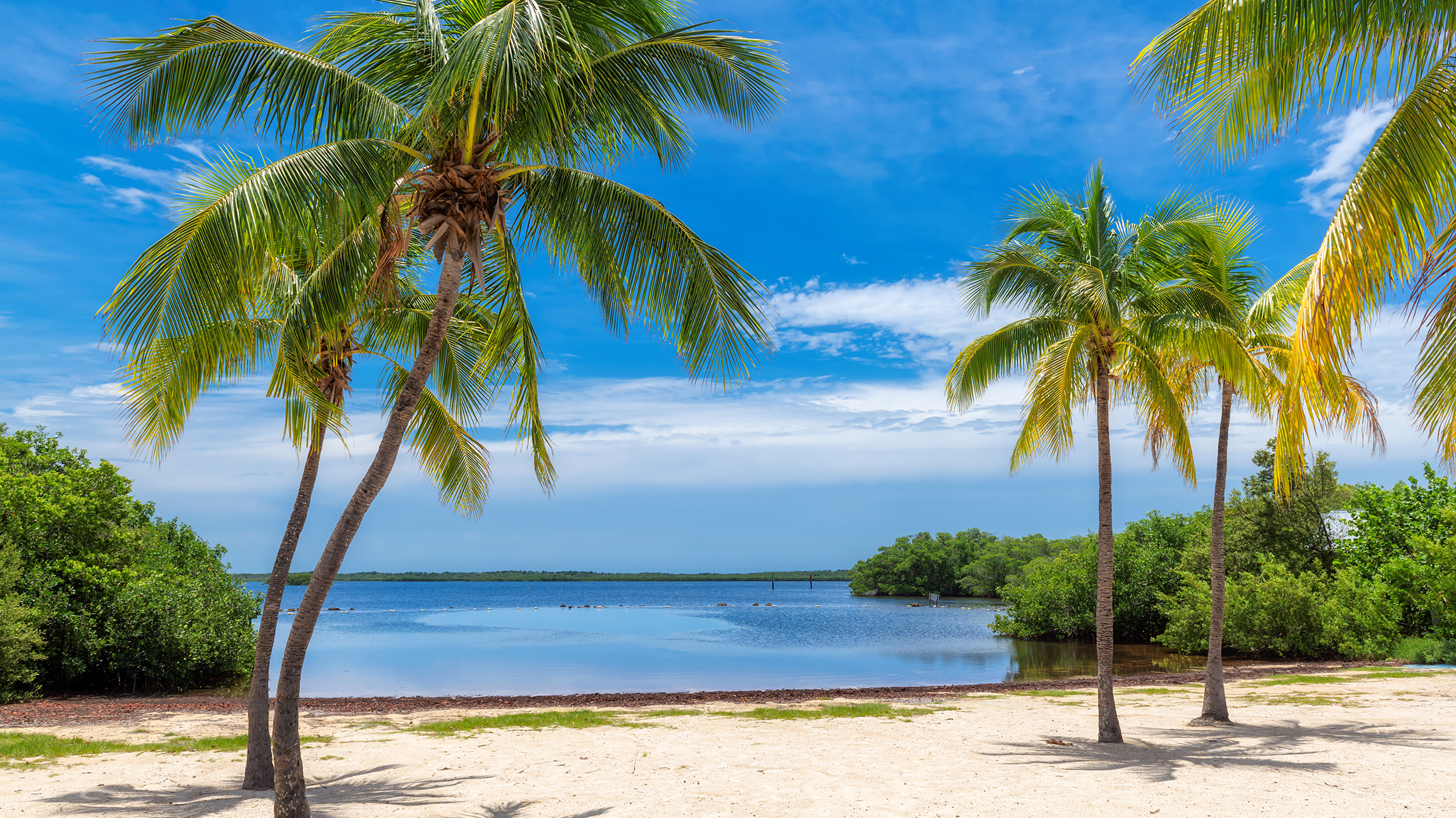 Paisaje de playa tropical.​​ 